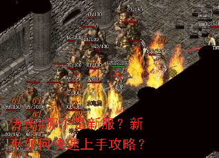 传奇4哪个是新服?新手如何快速上手攻略? 传奇4哪个是新服?新手如何快速上手攻略?