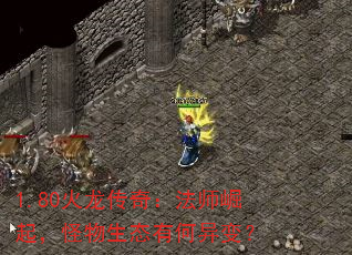 1.80棺ʦ𣬹̬к䣿