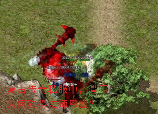 Ŵ˽УΪζ÷ʦ裿