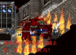 淨ʦͷɧλΪս