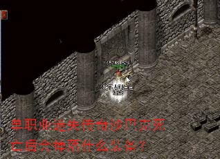 ְҵʧɳͿʲôװ