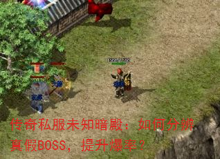 ˽δ֪ηֱBOSSʣ