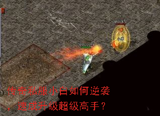 傳奇私服小白如何逆襲,速成升級超級高手? 傳奇私服小白如何逆襲,速成升級超級高手?