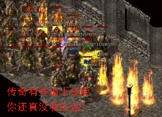 Щʿ㻹û
