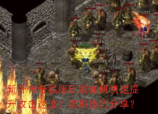 ¿˽οٶȣʵüɷ
