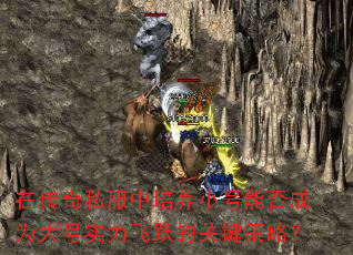 ڴ˽СܷΪʵԾĹؼԣ