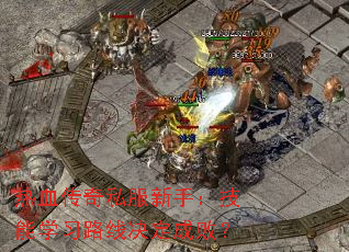Ѫ˽֣ѧϰ·߾ɰܣ