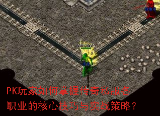 PKմ˽ְҵĺļʵսԣ