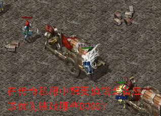 ڴ˽ҪֵǮװӦսЩBOSS