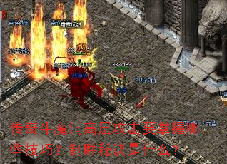 ţħ߲㹥ҪЩɣʤؾʲô