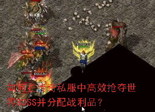 ڴ˽иЧBOSSսƷ