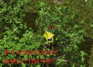 ǰ滮ܳ´棿