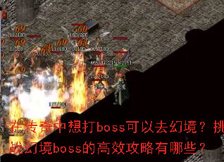ڴbossȥþսþbossĸЧЩ