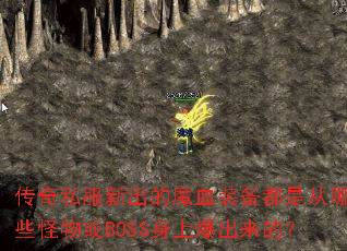 ˽³ħѪװǴЩBOSSϱģ