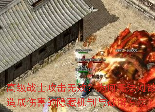 ߼սʿЧΪ޷Ե˺ػƽⷽ