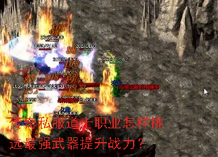 ˽ʿְҵѡǿս