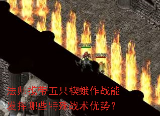ʦЯֻШսܷЩսƣ