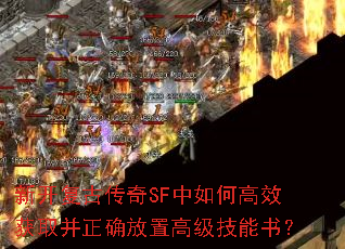 新開復古傳奇SF中如何高效獲取并正確放置高級技能書？