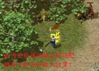 新传奇私服技能如何搭配顺序才能发挥最大效果? 新传奇私服技能如何搭配顺序才能发挥最大效果?