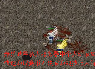 赤岳峽谷私人服務器中個人玩家如何快速賺取金幣？獨家賺錢技巧大解析