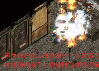 赤岳峽谷私人服務器中個人玩家如何快速賺取金幣？獨家賺錢技巧大解析