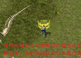 传奇私服新手初期如何选择适合的项链装备?五大基础款推荐与属性解析 传奇私服新手初期如何选择适合的项链装备?五大基础款推荐与属性解析