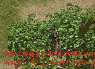 传奇私服新手初期如何选择适合的项链装备?五大基础款推荐与属性解析 传奇私服新手初期如何选择适合的项链装备?五大基础款推荐与属性解析