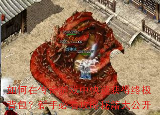 ڴϷпٻռֱؿؼ󹫿