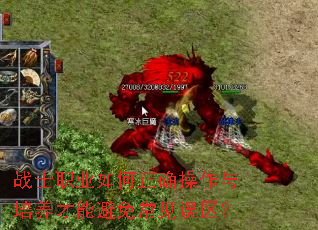 战士职业如何正确操作与培养才能避免常见误区? 战士职业如何正确操作与培养才能避免常见误区?