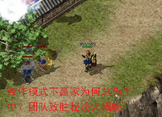 合作模式下赢家为何总为王中?团队致胜秘诀大揭晓 合作模式下赢家为何总为王中?团队致胜秘诀大揭晓