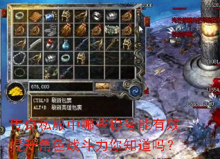 传奇私服中哪些称号能有效提升角色战斗力你知道吗? 传奇私服中哪些称号能有效提升角色战斗力你知道吗?