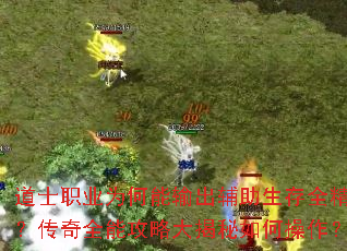 道士职业为何能输出辅助生存全精通?传奇全能攻略大揭秘如何操作? 道士职业为何能输出辅助生存全精通?传奇全能攻略大揭秘如何操作?