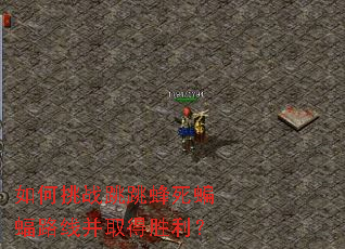 如何挑战跳跳蜂死蝙蝠路线并取得胜利? 如何挑战跳跳蜂死蝙蝠路线并取得胜利?