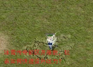 冰雪传奇新区开服后,玩家如何快速提升战力? 冰雪传奇新区开服后,玩家如何快速提升战力?