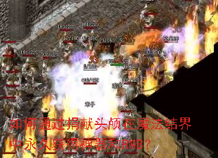 如何通过捐献头颅在魔法结界中永久获得神器和RMB? 如何通过捐献头颅在魔法结界中永久获得神器和RMB?