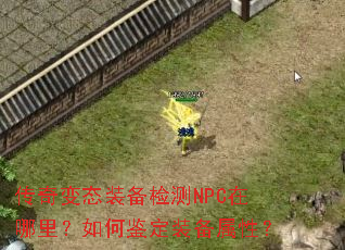 ̬װNPCμװԣ
