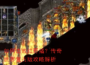 如何击败红野猪?传奇世界复古版攻略解析 如何击败红野猪?传奇世界复古版攻略解析