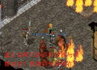道士如何巧妙运用技能与怪兽对抗?其独特优势何在? 道士如何巧妙运用技能与怪兽对抗?其独特优势何在?
