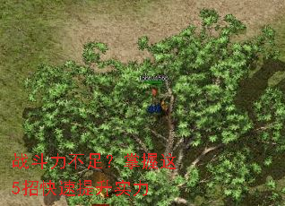 战斗力不足?掌握这5招快速提升实力 战斗力不足?掌握这5招快速提升实力