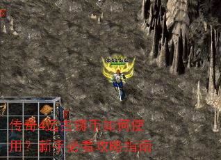 ����4Զ���������ʹ�ã����ֱؿ�����ָ��