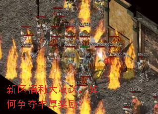 ������������ͣ��������������