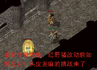 ���´��湥�ԣ���Ұ���Ķ������Ӧ�ԣ�ͷƤ�������ս����