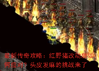 ���´��湥�ԣ���Ұ���Ķ������Ӧ�ԣ�ͷƤ�������ս����