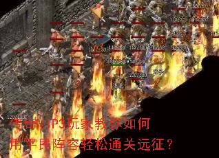 ����VIP3��ҽ��������ƽ����������ͨ��Զ����