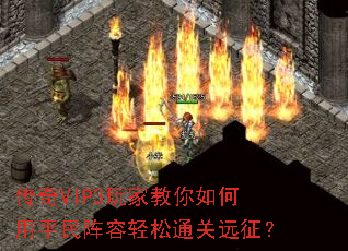 ����VIP3��ҽ��������ƽ����������ͨ��Զ����