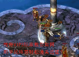 ����VIP3��ҽ��������ƽ����������ͨ��Զ����