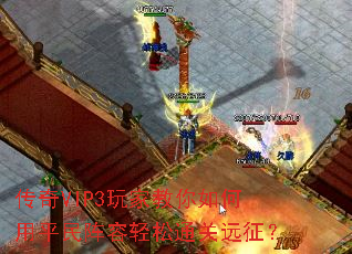 ����VIP3��ҽ��������ƽ����������ͨ��Զ����