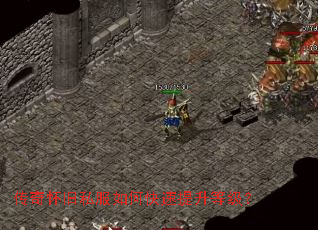 ���滳��˽����ο��������ȼ���