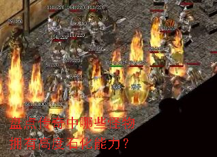 �̵㴫������Щ����ӵ�и߶�ʯ��������