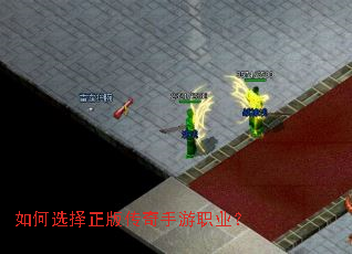 ���ѡ�����洫������ְҵ��